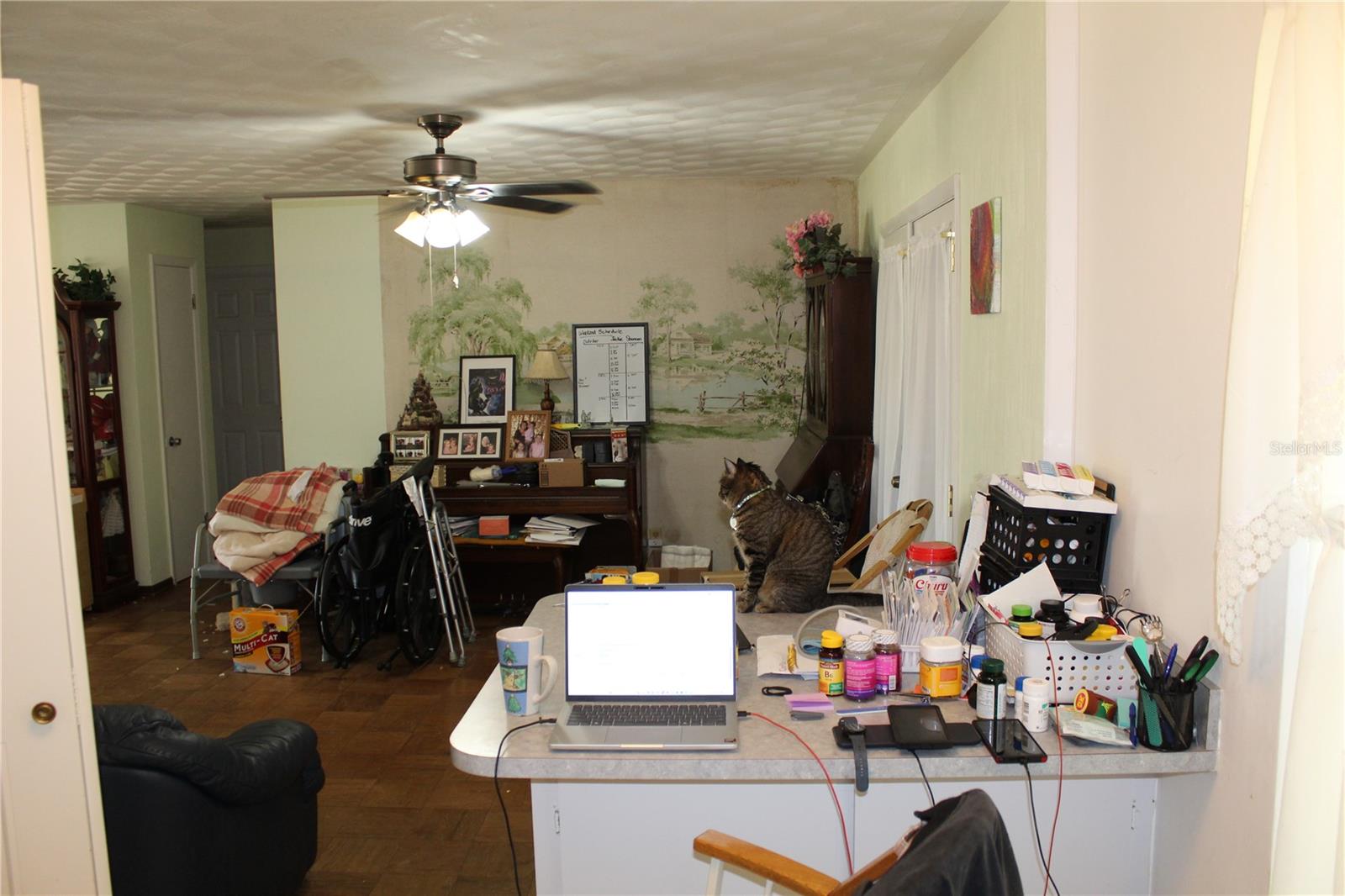 NOT IN SUBDIVISION - Residential