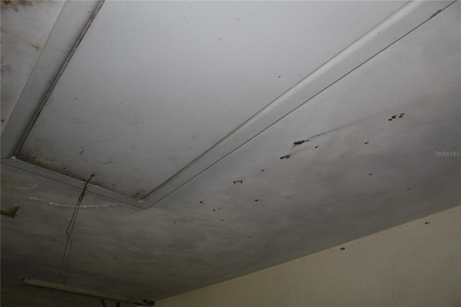 NOT IN SUBDIVISION - Residential