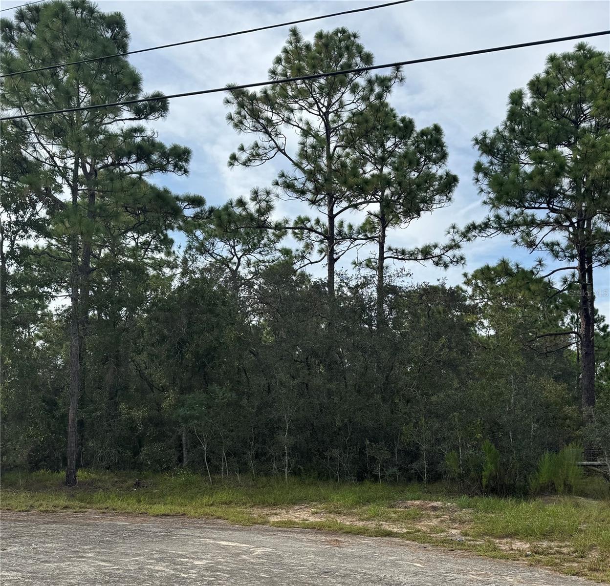 A rare find both COUNTRY and CONVENIENCE in the Hernando Highlands. Come and build your DREAM on this 0.8 acre high and dry parcel in Hernando County, zoned AGRICULTURAL/RESIDENTIAL District, AR2. Minutes from Shopping, Dining, Entertainment, and proximal to the SunCoast Expressway for easy commuting. Local sports complexes and access to the SunCoast Trail offer themselves to those with and active lifestyle. Come and experience Hernando County and all Florida's Nature Coast has to offer.