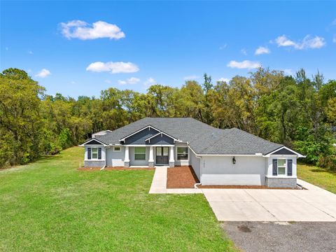 Photo of 11099 Yellow Hammer Road, Weeki Wachee, FL 34614 (MLS # W7884841)