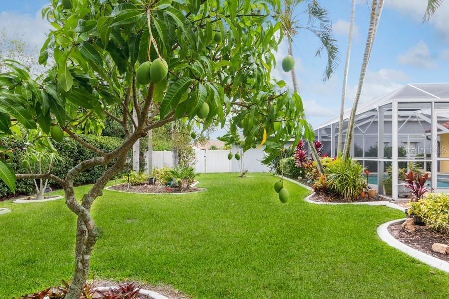 GROVE POINTE - Residential