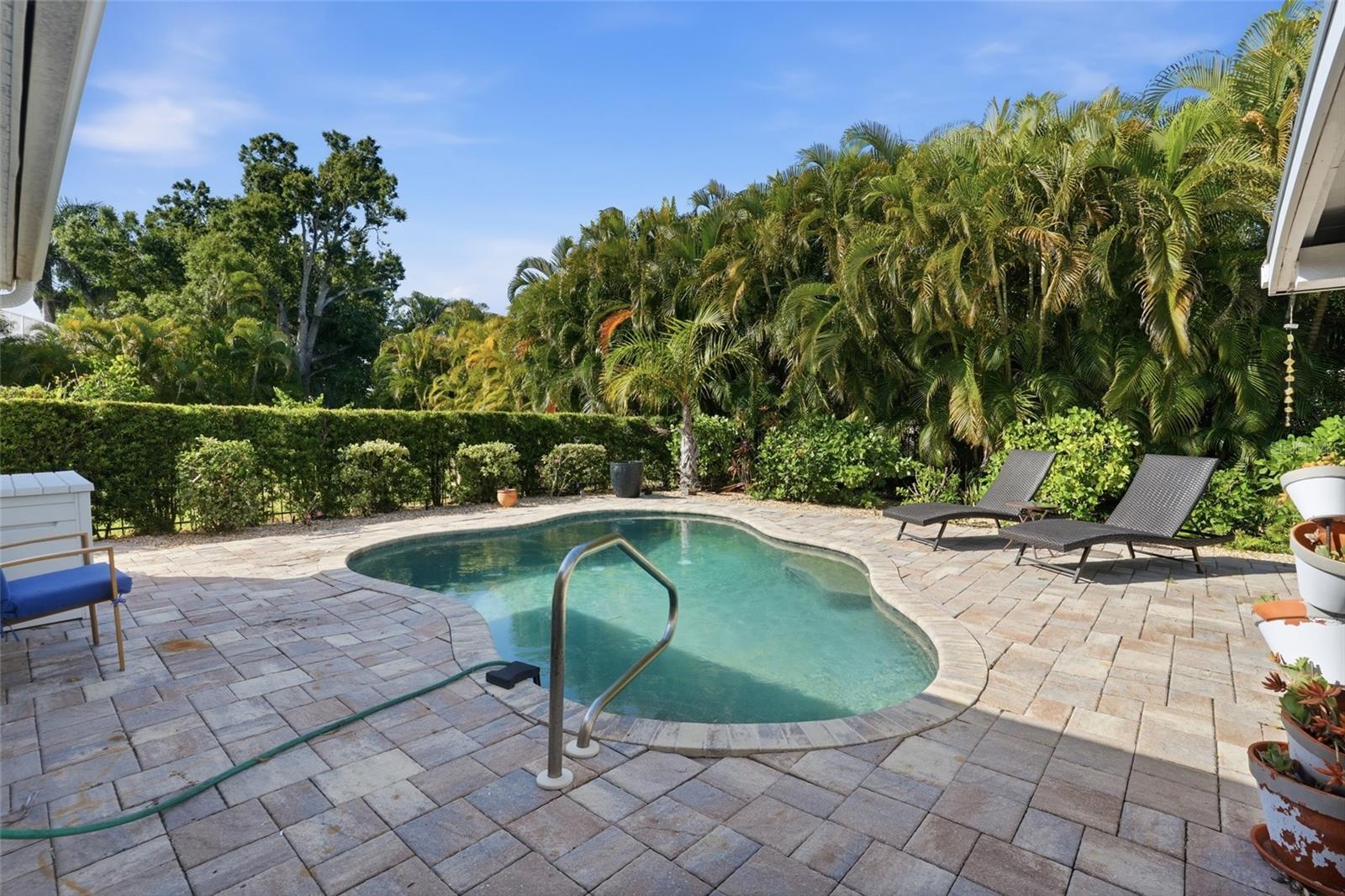 PUNTA GORDA - Residential