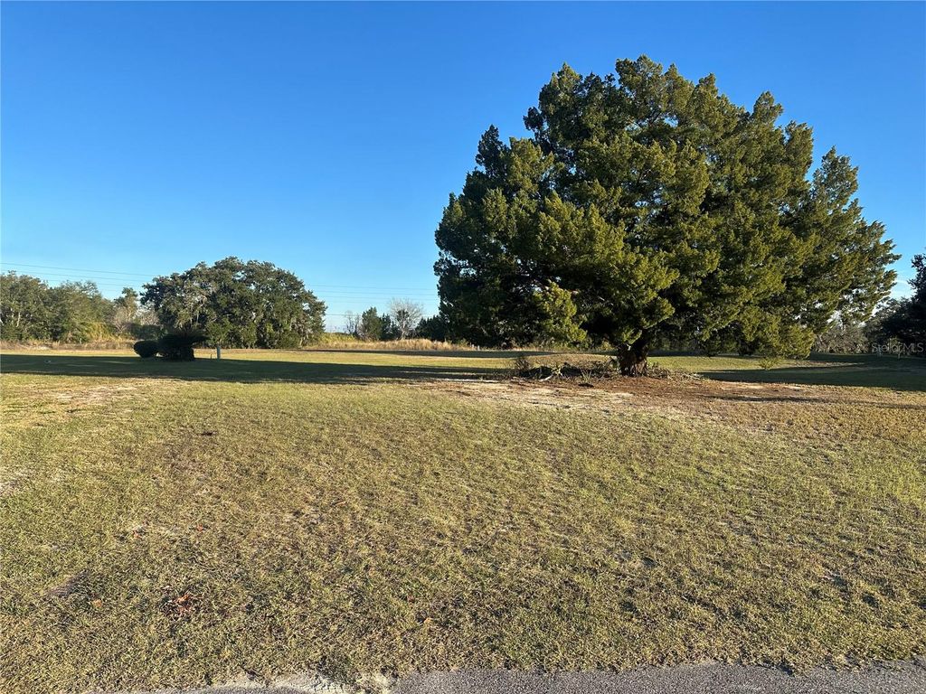 Photo of 5432 Chestnut Ridge Road, Dade City, FL 33523 (MLS # G5105320)