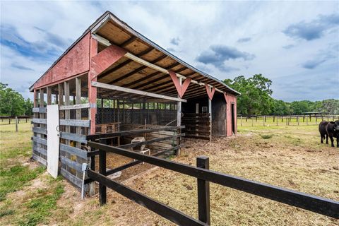 Tiny photo for 10631 W Highway 40, Ocala, FL 34482 (MLS # OM700216)
