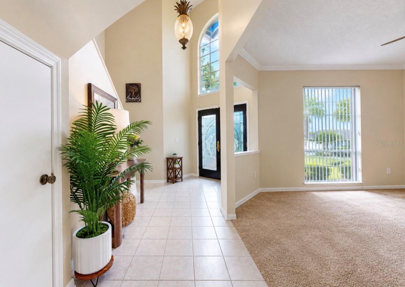 11214 LONGBROOKE DRIVE