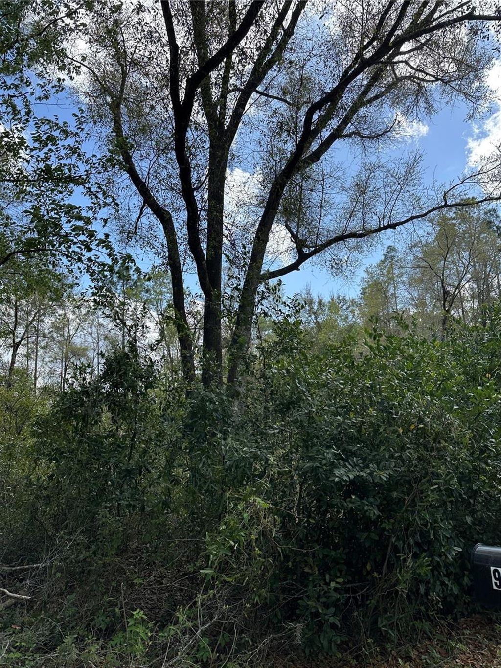 Photo of 00 SW 193 Circle, Dunnellon, FL 34432 (MLS # OM696885)