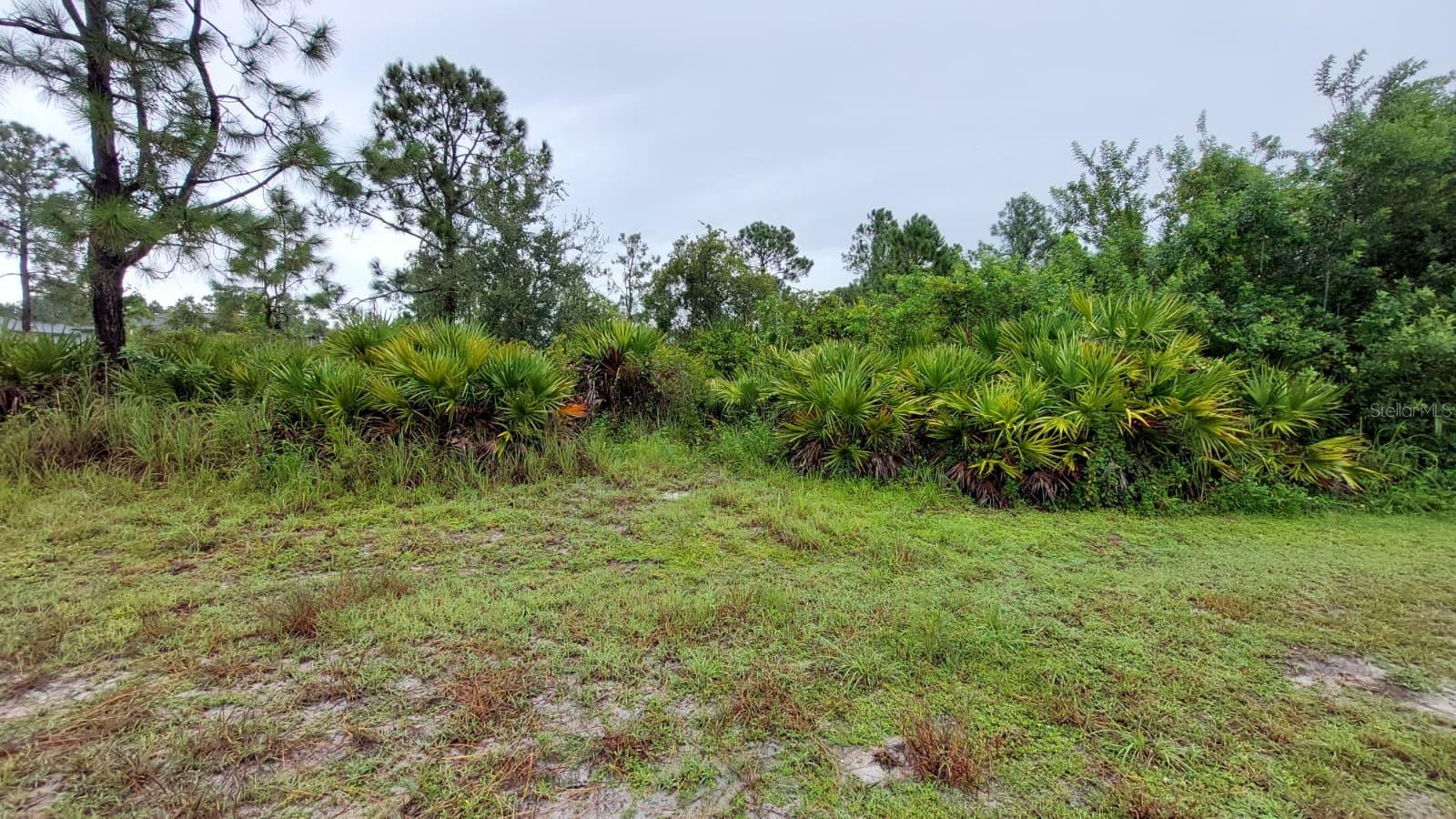 Prime opportunity to own a 10,001 sq. ft. vacant lot in Lehigh Acres. This parcel is ready to sell and offers plenty of space to design and build your future home or investment property. Located in a growing community with convenient access to shopping, dining, schools, and main roadways. A great chance to secure land in one of Florida’s fastest-developing areas. Don’t miss out—submit your offer today!