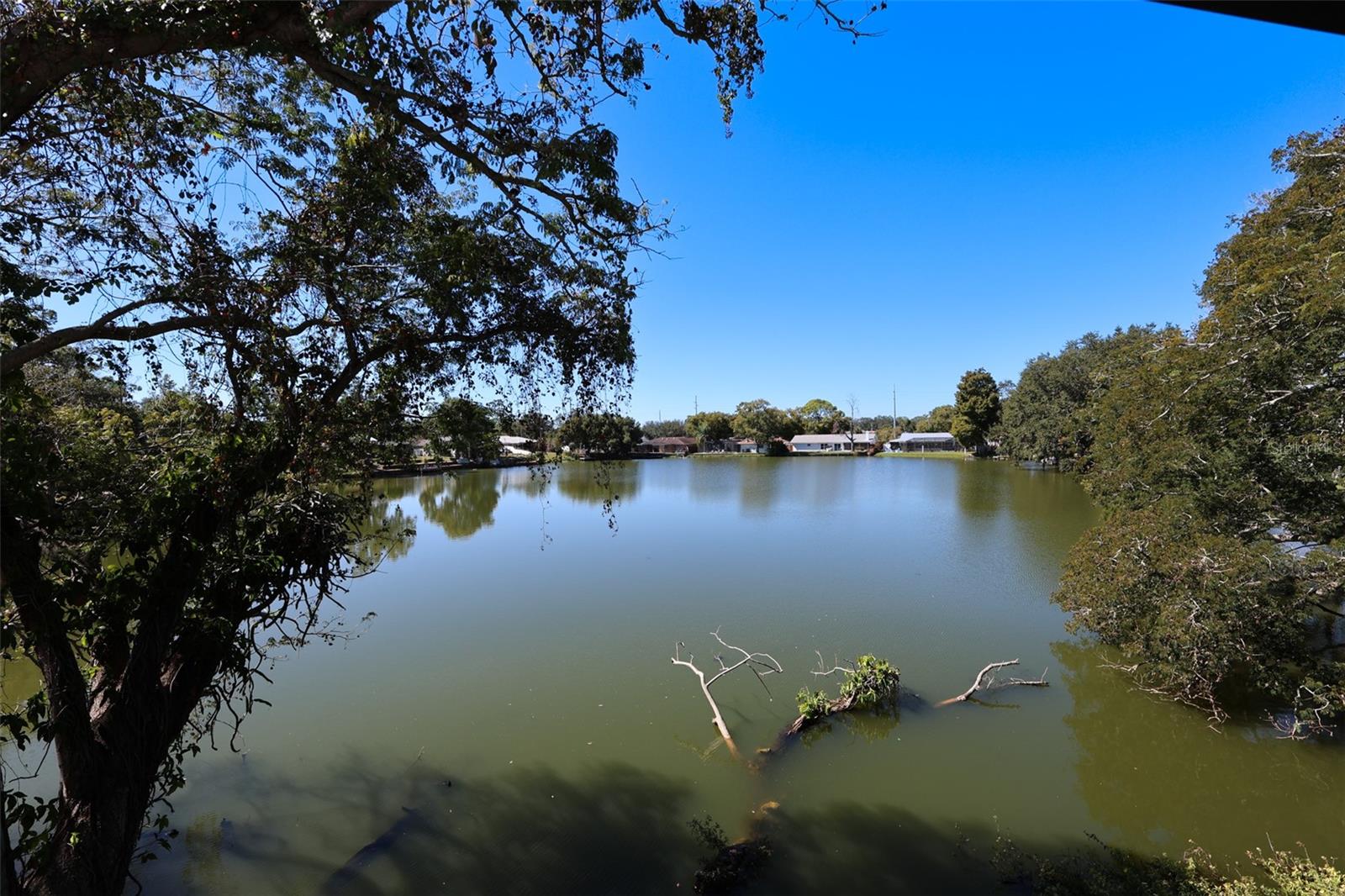 OAK LAKE PARK CONDO - Residential Lease