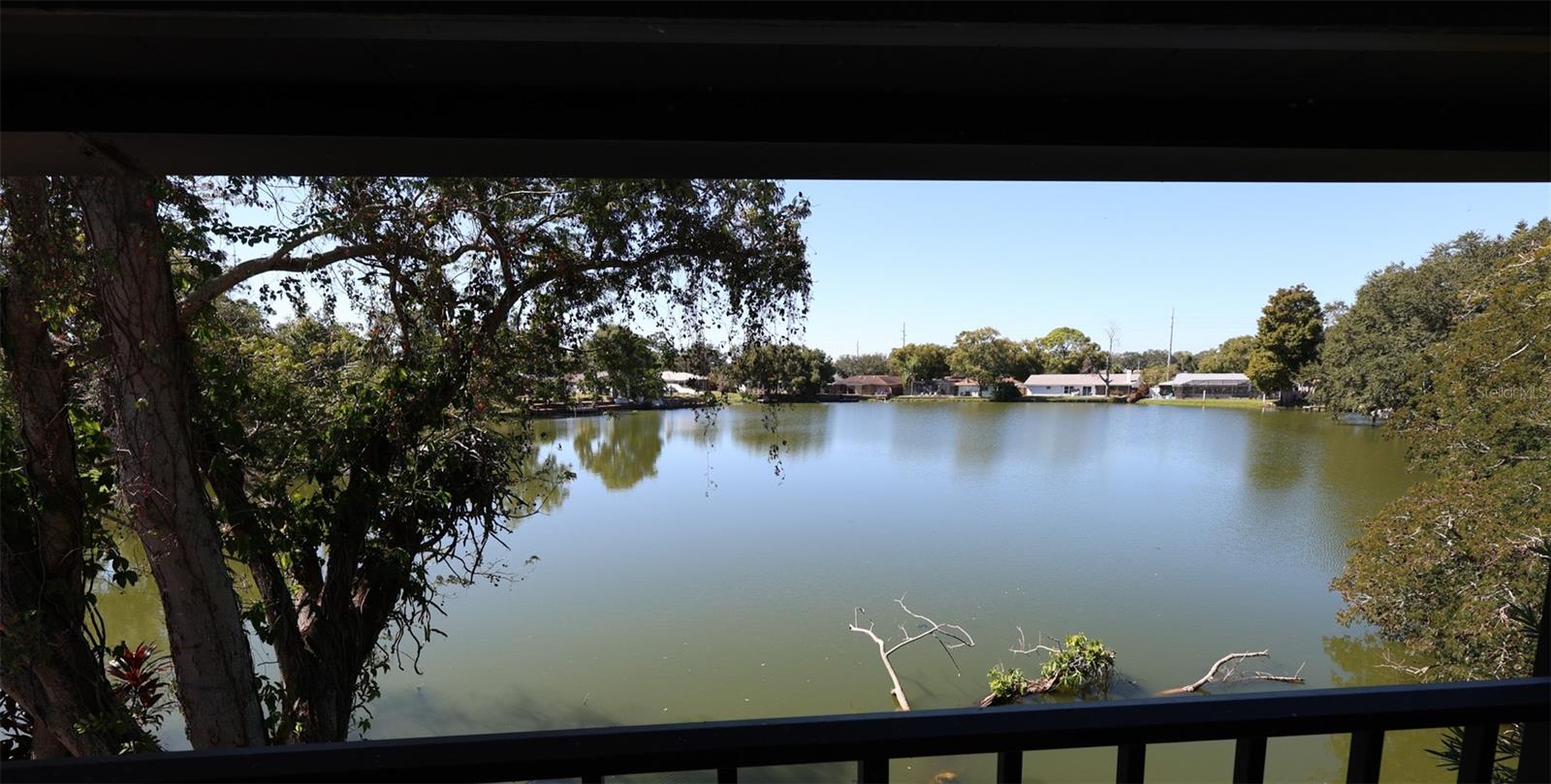 OAK LAKE PARK CONDO - Residential Lease