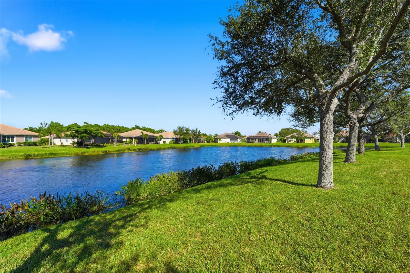 TALON BAY - Residential