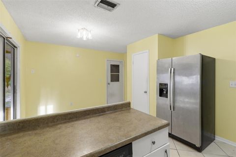 Tiny photo for 6740 W Van Buren Drive, Homosassa, FL 34448 (MLS # TB8492601)