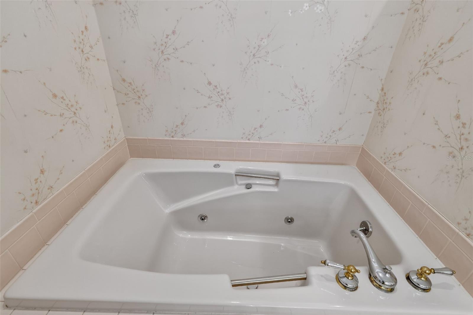 MOUNT DORA HIGH POINT AT LAKE DORA - Residential