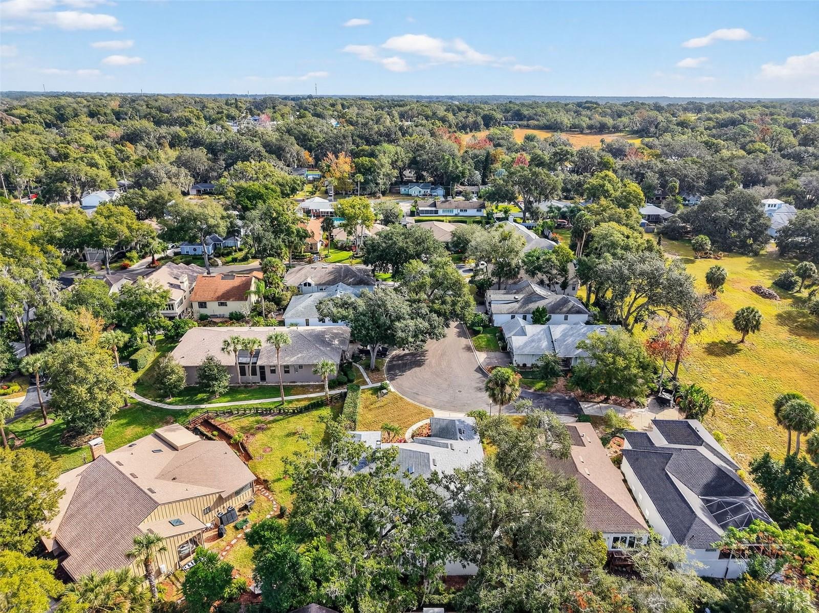 MOUNT DORA HIGH POINT AT LAKE DORA - Residential