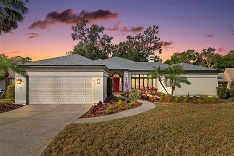 629 SANDLAKE COURT MOUNT DORA FL 32757