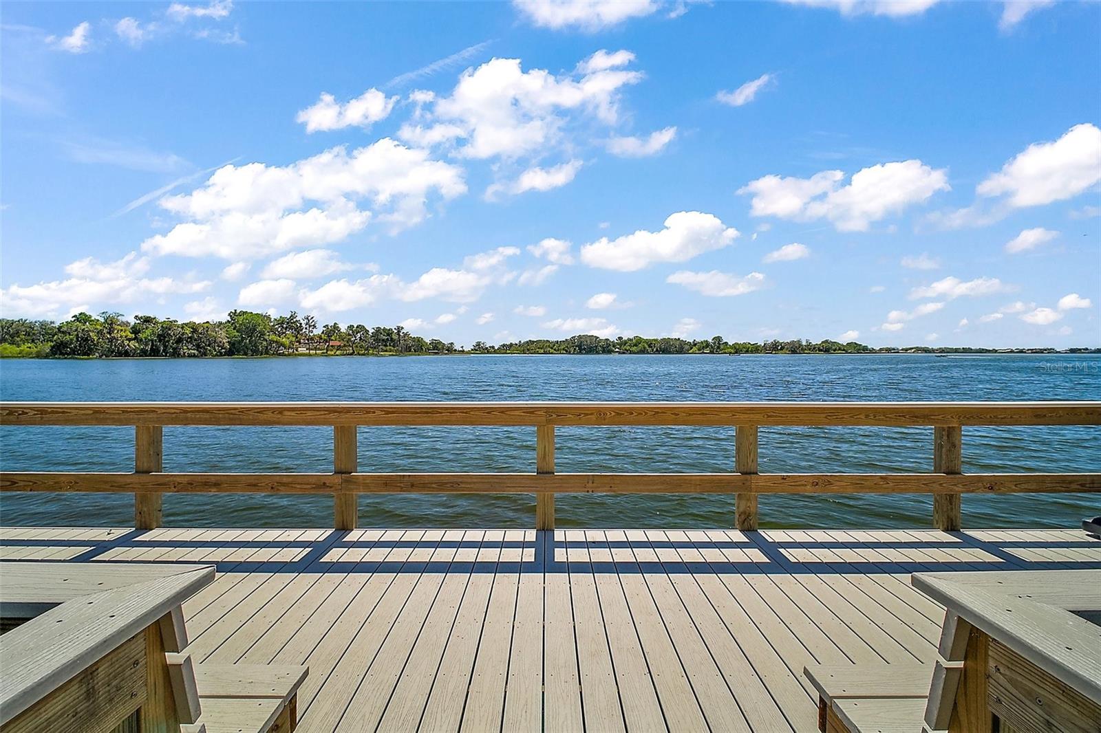 MOUNT DORA HIGH POINT AT LAKE DORA - Residential