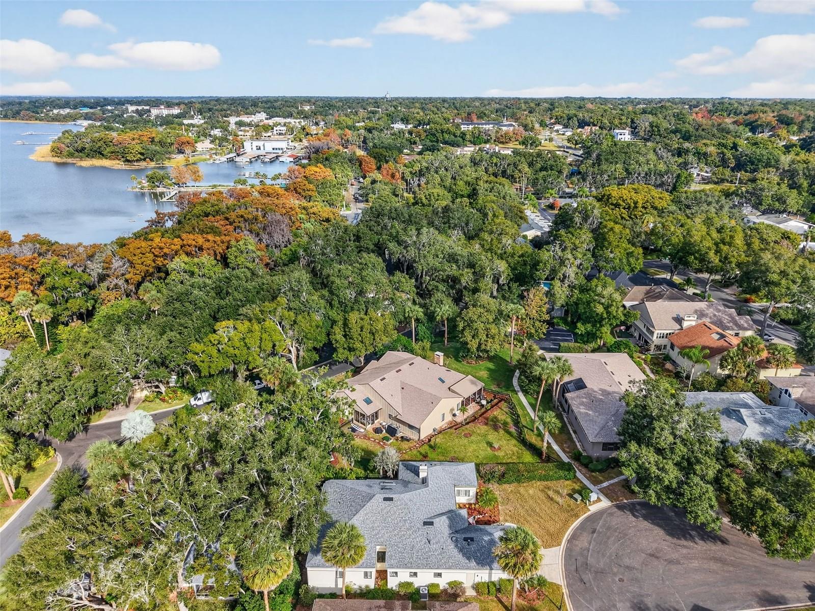 MOUNT DORA HIGH POINT AT LAKE DORA - Residential