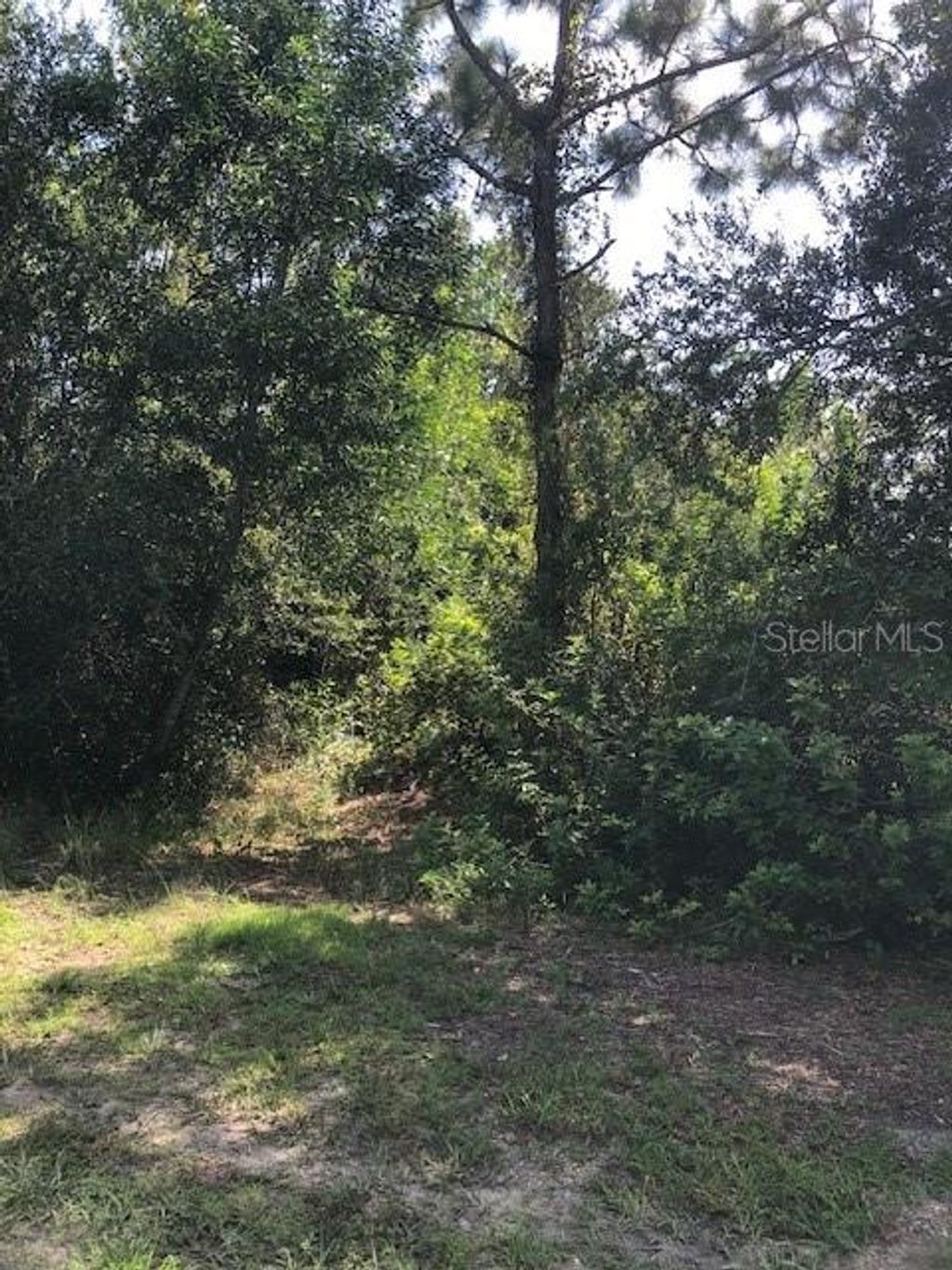 Photo of 13358 Cappy Terrace, Punta Gorda, FL 33955 (MLS # A4663620)