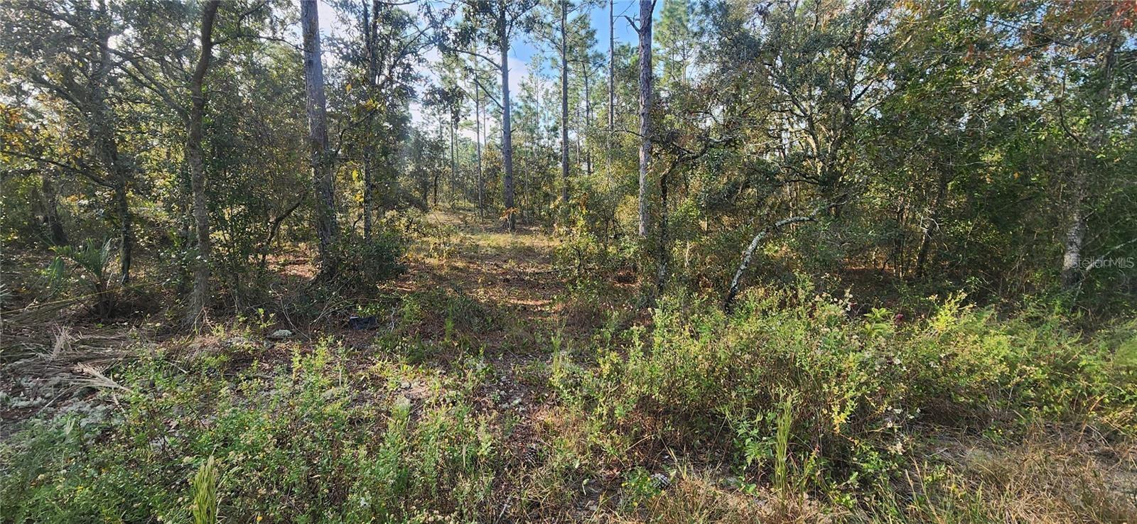 RAINBOW LAKES ESTATE - Land