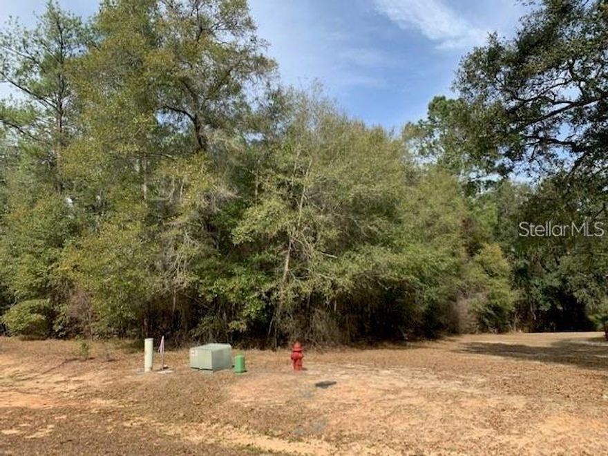 Located in the prestigious Magnolia Forest subdivision in eastern Gadsden County, this 1.37-acre high-and-dry buildable residential lot sits on a private cul-de-sac just 20 minutes from Tallahassee. Surrounded by mature trees and natural landscaping, this spacious homesite offers the perfect setting to design and build your custom dream home.

Enjoy the peace and privacy of an established community with estate-style homes, minimal through traffic, and plenty of room for outdoor living, entertaining, and creating lasting family memories. A rare opportunity to build in a beautifully maintained neighborhood that blends tranquility with convenience.