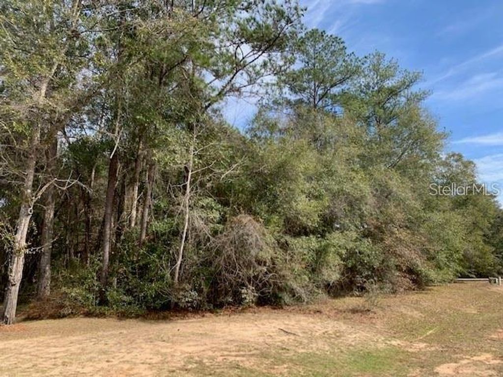 Photo of 167 Sparkleberry Boulevard, Quincy, FL 32351 (MLS # O6382819)