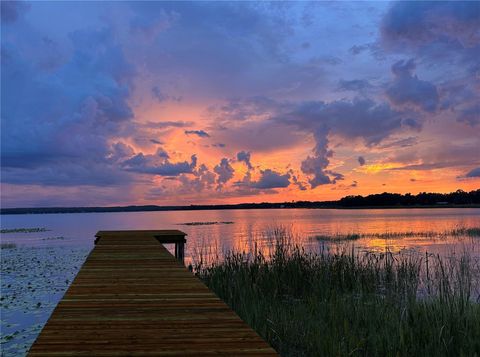 Tiny photo for 22080 E Highway 316, Salt Springs, FL 32134 (MLS # OM712826)