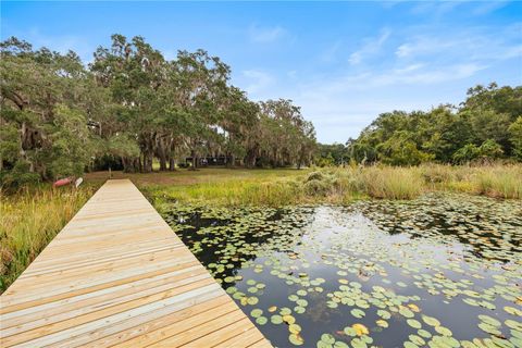 Tiny photo for 22080 E Highway 316, Salt Springs, FL 32134 (MLS # OM712826)