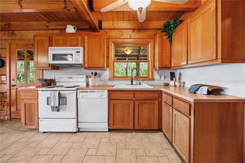 Tiny photo for 22080 E Highway 316, Salt Springs, FL 32134 (MLS # OM712826)