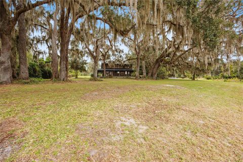 Tiny photo for 22080 E Highway 316, Salt Springs, FL 32134 (MLS # OM712826)