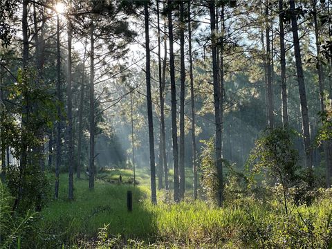 Tiny photo for 22080 E Highway 316, Salt Springs, FL 32134 (MLS # OM712826)