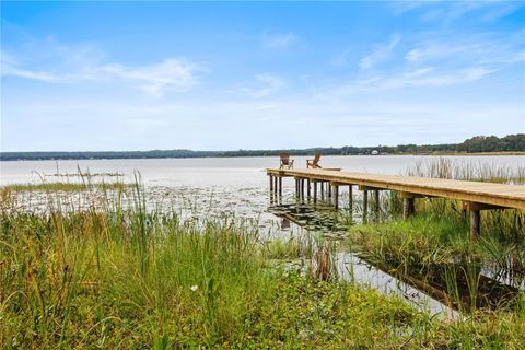 Tiny photo for 22080 E Highway 316, Salt Springs, FL 32134 (MLS # OM712826)