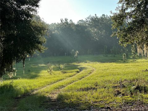 Tiny photo for 22080 E Highway 316, Salt Springs, FL 32134 (MLS # OM712826)