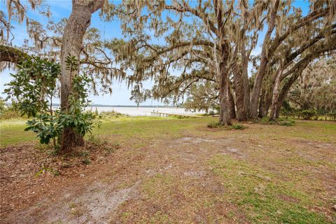 Tiny photo for 22080 E Highway 316, Salt Springs, FL 32134 (MLS # OM712826)