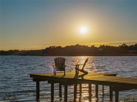 Tiny photo for 22080 E Highway 316, Salt Springs, FL 32134 (MLS # OM712826)