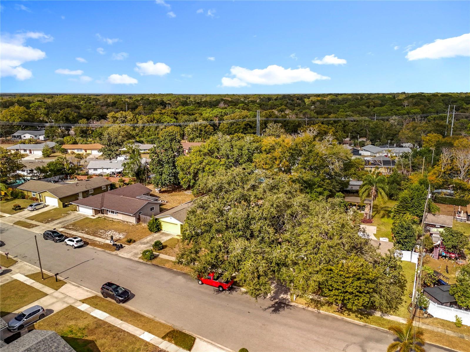 305 ROBIN HILL DRIVE