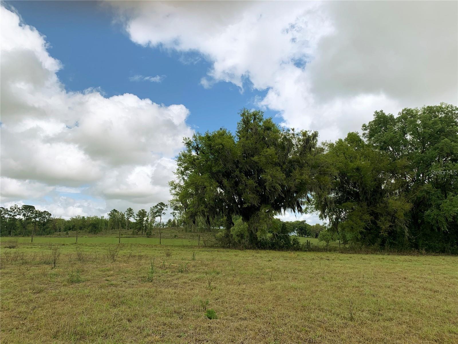 VISTA POINTE FARMS - Land