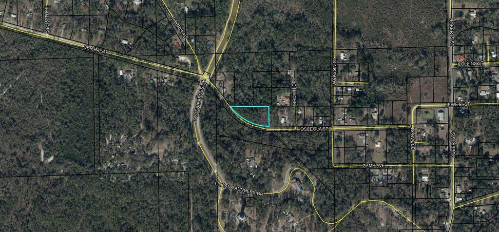 Photo of 17358 Osceola Street, White Springs, FL 32096 (MLS # A4673352)