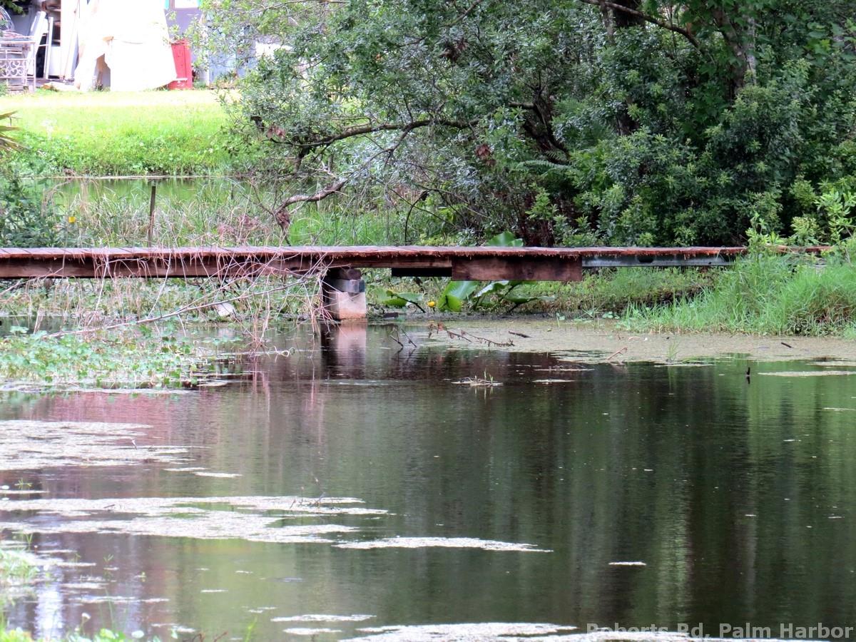 TAMPA & TARPON SPGS LAND CO - Land