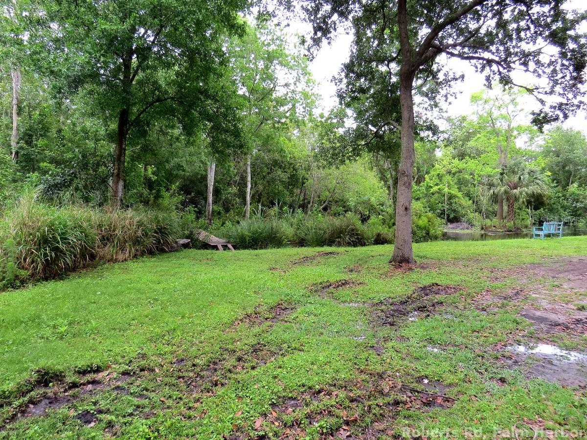 TAMPA & TARPON SPGS LAND CO - Land