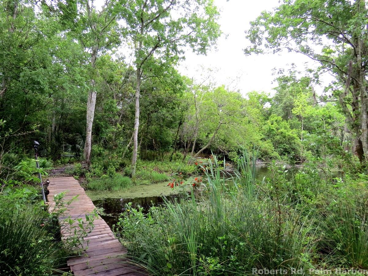 TAMPA & TARPON SPGS LAND CO - Land