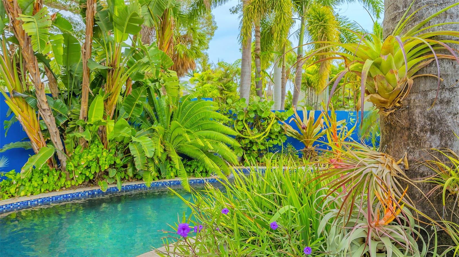 SAINT ARMANDS - Residential