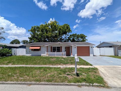 4853 ALCEA STREET NEW PORT RICHEY FL 34652