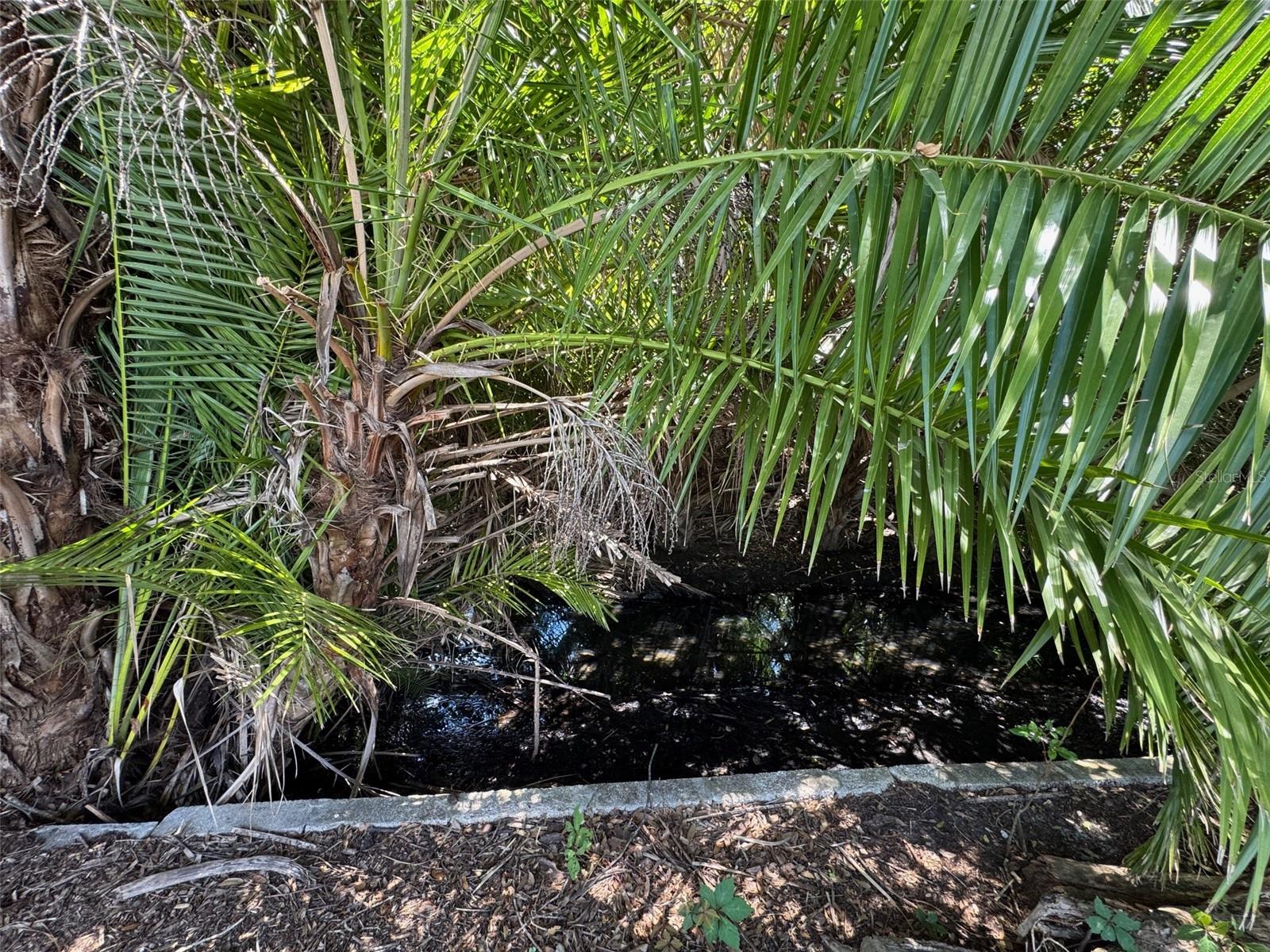 CEDAR CREEK MOBILE HOME PARK UNREC - Residential