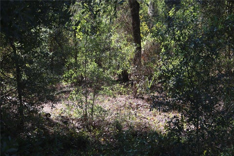 Tiny photo for 5756 W Connetquot Place, Dunnellon, FL 34433 (MLS # OM734441)