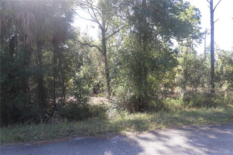 Tiny photo for 5756 W Connetquot Place, Dunnellon, FL 34433 (MLS # OM734441)