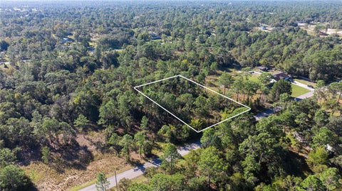 Photo of 5756 W Connetquot Place, Dunnellon, FL 34433 (MLS # OM734441)
