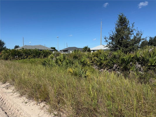 2536 W HAVILAND RD, AVON PARK, FL 33825 - Image 89901e09b244eb413bb2fd84cb6ebf27/1311055970