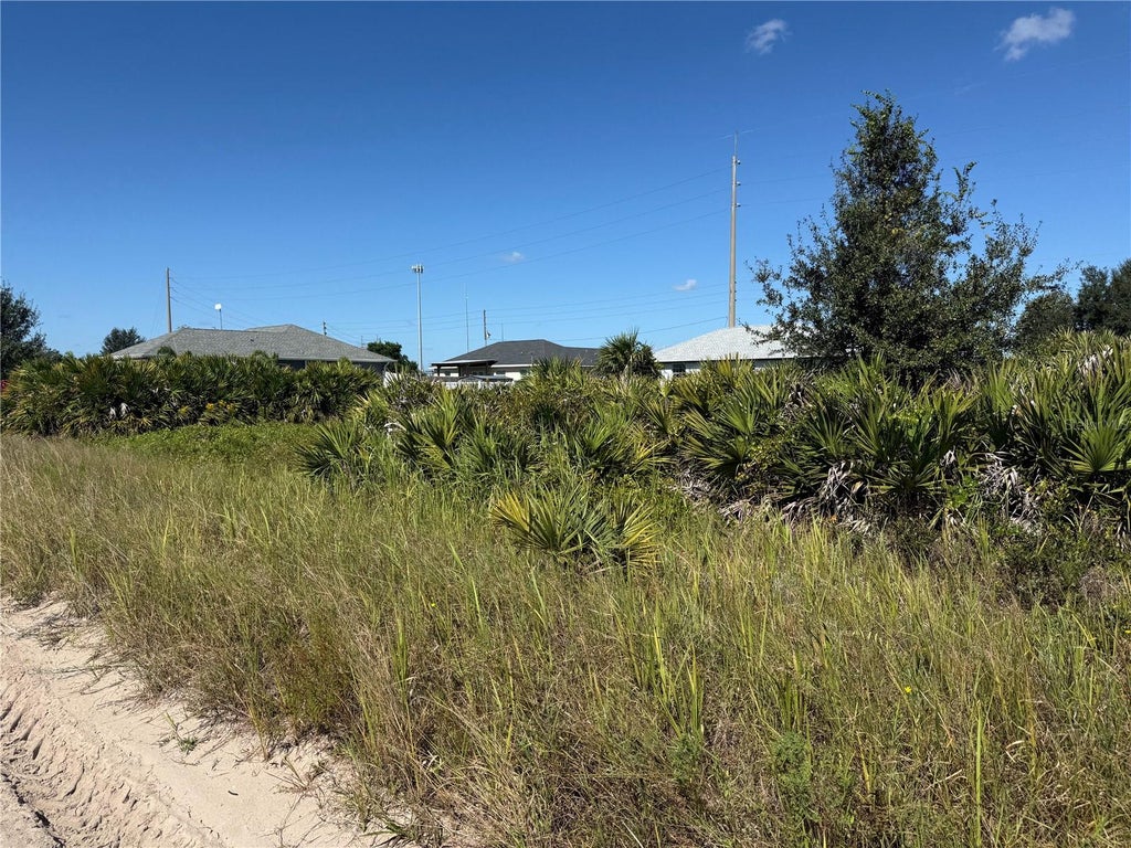 Photo of 2536 W Haviland Road, Avon Park, FL 33825 (MLS # O6451222)