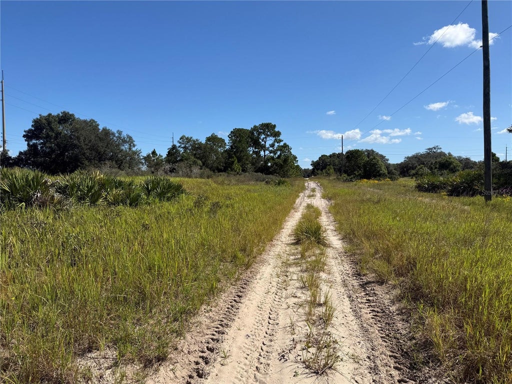 Photo of 2536 W Haviland Road, Avon Park, FL 33825 (MLS # O6451222)