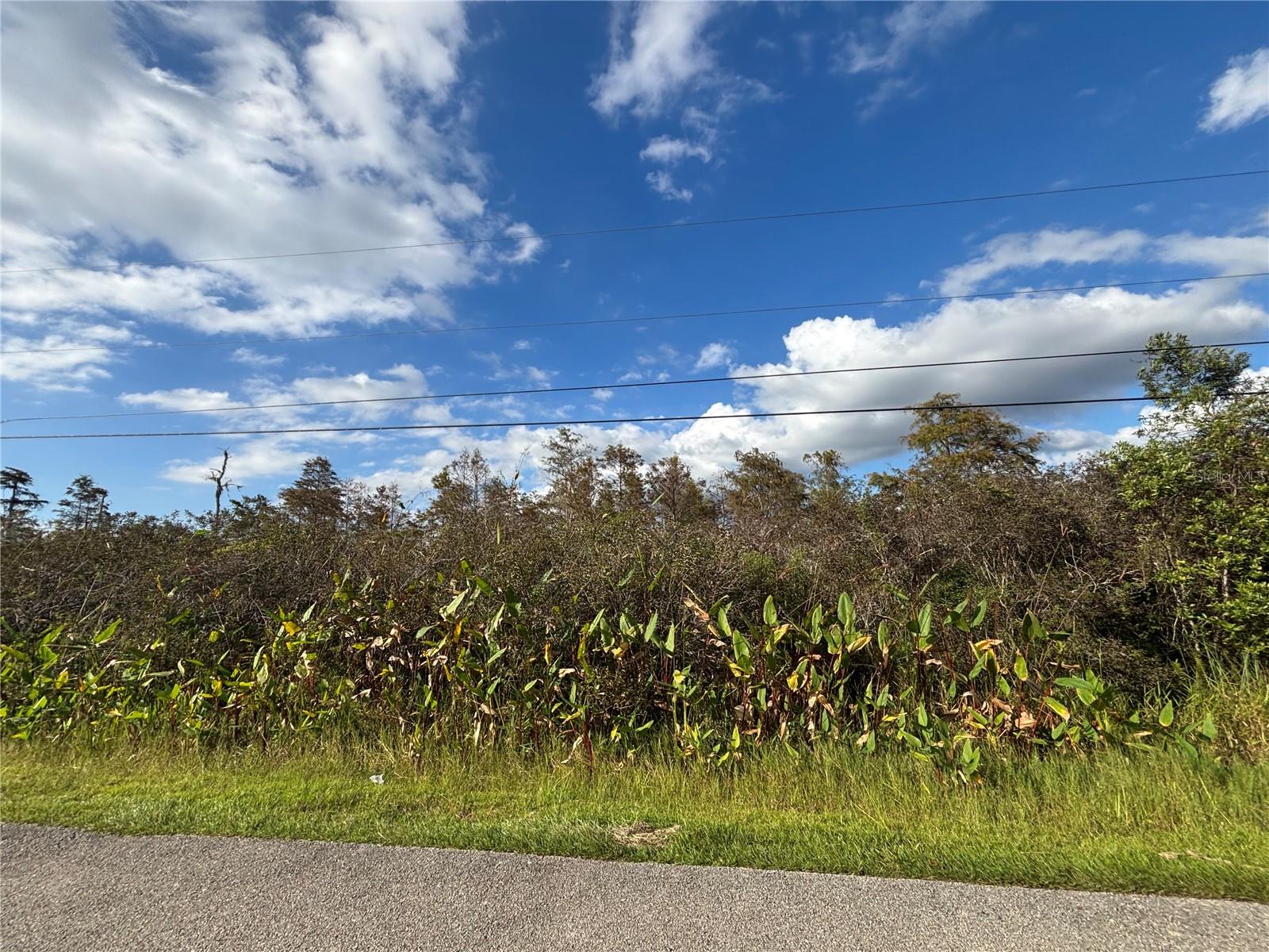 GOLDEN GATE ESTATE UNIT 65 - Land