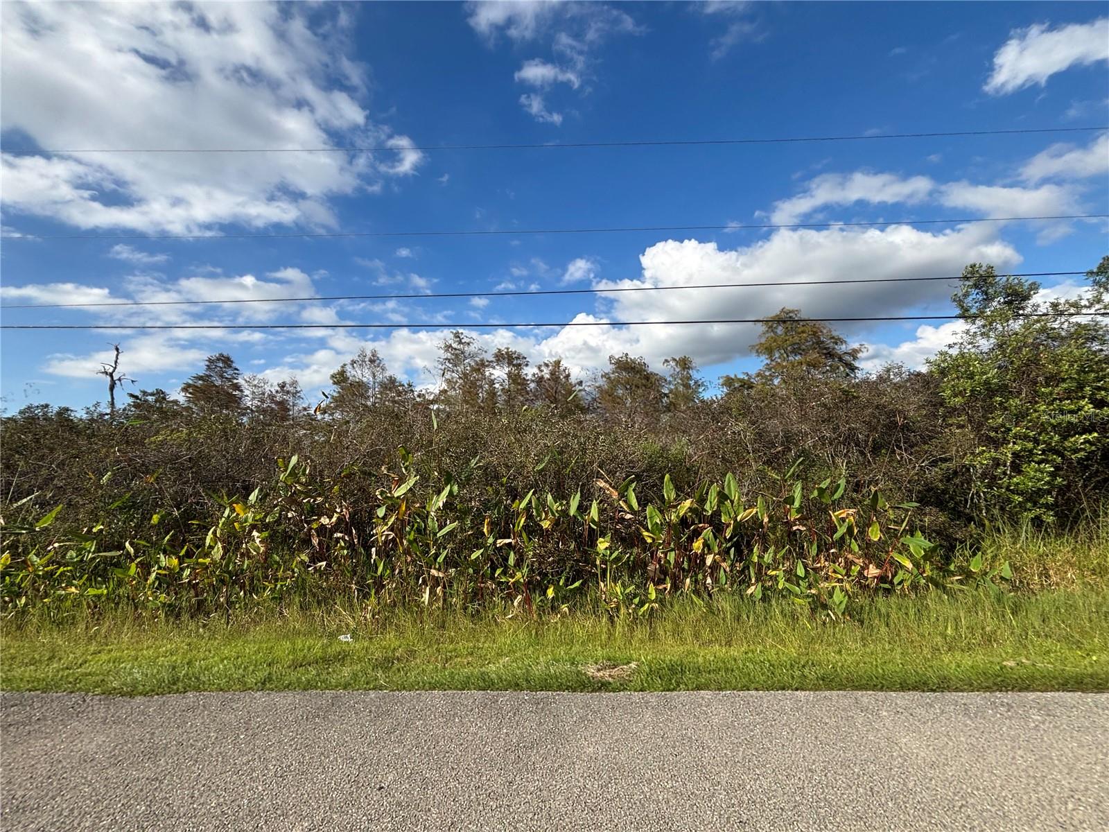 GOLDEN GATE ESTATE UNIT 65 - Land